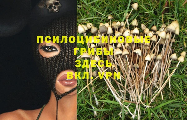 ALPHA PVP Абинск