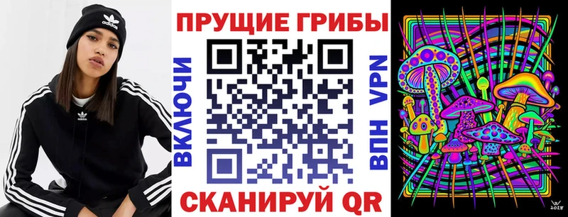 Галлюциногенные грибы ЛСД Судогда