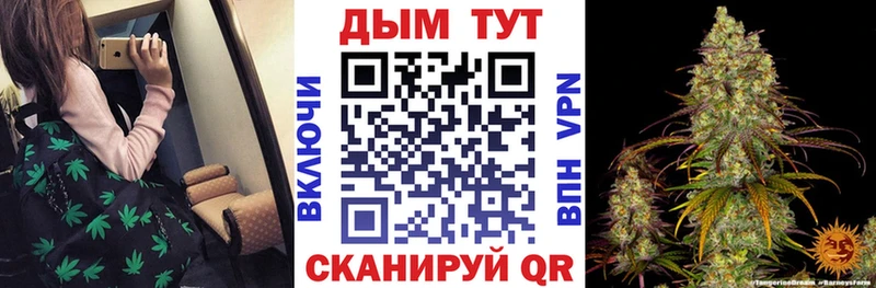 Бошки Шишки SATIVA & INDICA  где продают   Судогда 